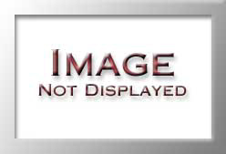 UV61131